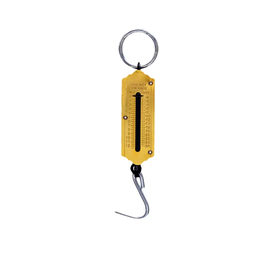 25KG Portable Weighing Vertical Spring Machine Selling Vegetables Scale Mechanical Hanging Hook Scales(Golden)