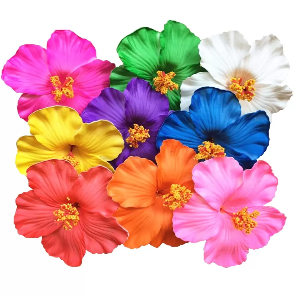 NUOLUX Hair Flower Clip Hawaii Beach Bridal Wedding Hawaiian Clips Hairpin Accessories Plumeria Floral Set Travel Barrette